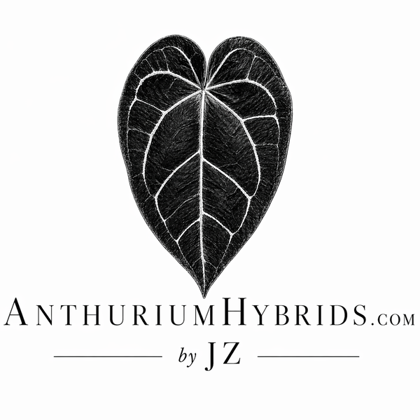 AnthuriumHybrids.com